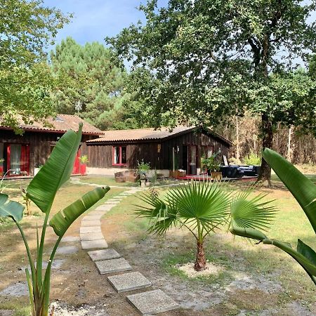Hacienda De La Canopee Avec Piscine Chauffee Au Sel Уртен Екстер'єр фото
