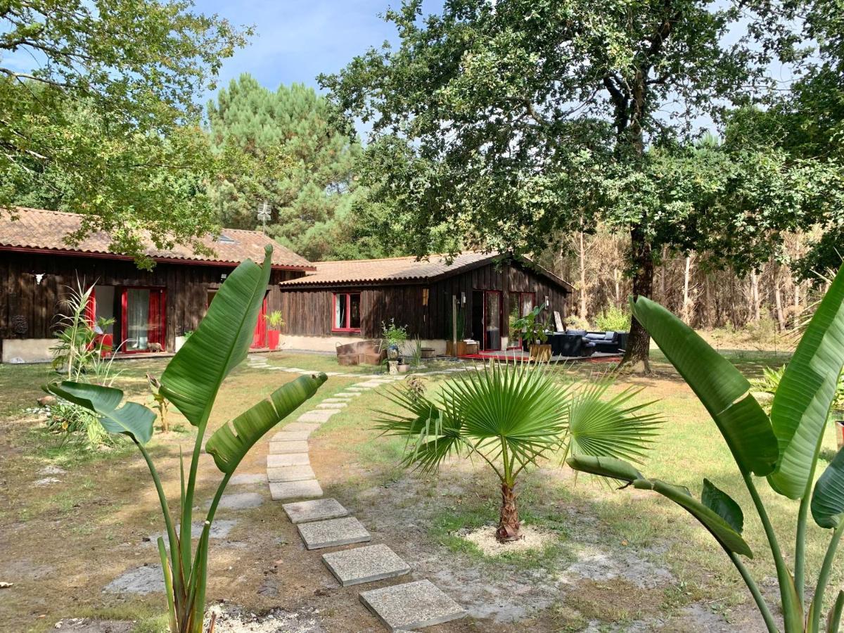 Hacienda De La Canopee Avec Piscine Chauffee Au Sel Уртен Екстер'єр фото