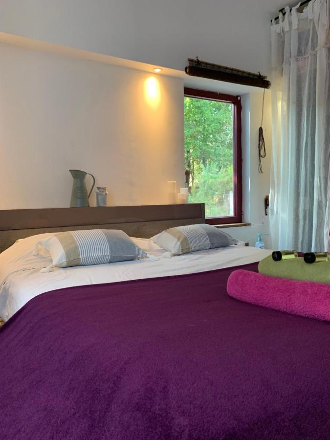 Hacienda De La Canopee Avec Piscine Chauffee Au Sel Уртен Екстер'єр фото