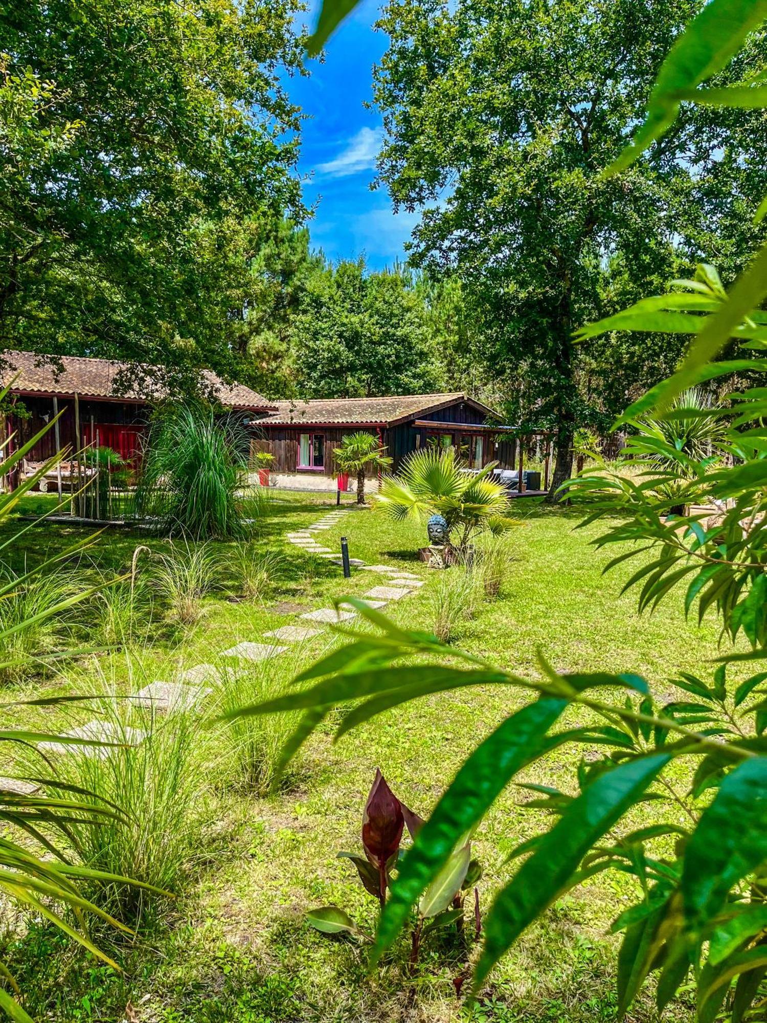 Hacienda De La Canopee Avec Piscine Chauffee Au Sel Уртен Екстер'єр фото